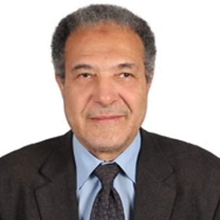 Prof. Ahmed G. Hegazi